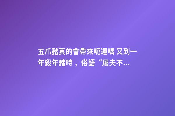 五爪豬真的會帶來呃運嗎 又到一年殺年豬時，俗語“屠夫不殺五爪豬”啥意思？你怎么看？